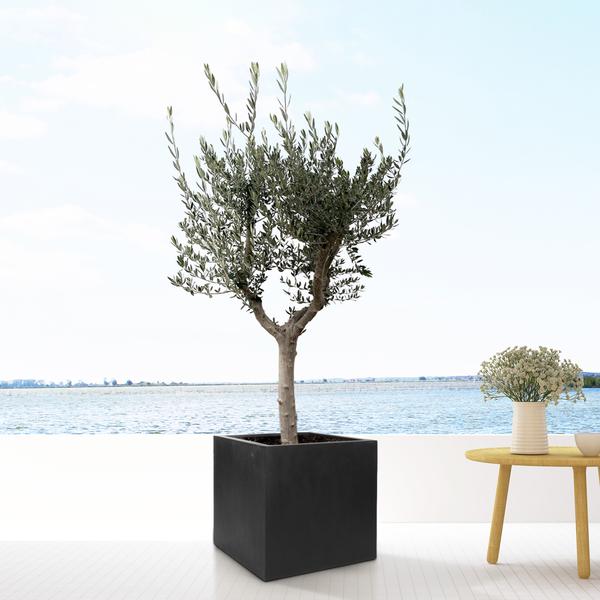 Block Black Plantenbak - XL - Diameter 60cm x Hoogte 60cm