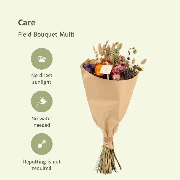 Dried flowers Field Bouquet Multi - Ø20cm - ↕50cm