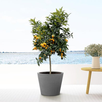 Bucket Grey Bloembak pot - XS - Diameter 40cm x Hoogte 35cm