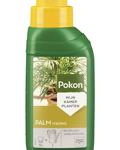 Palmen Plant Voeding 250ML - Planttoday