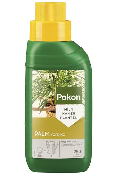 Palmen Plant Voeding 250ML - Planttoday