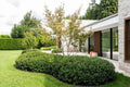 laurier wolk planttoday