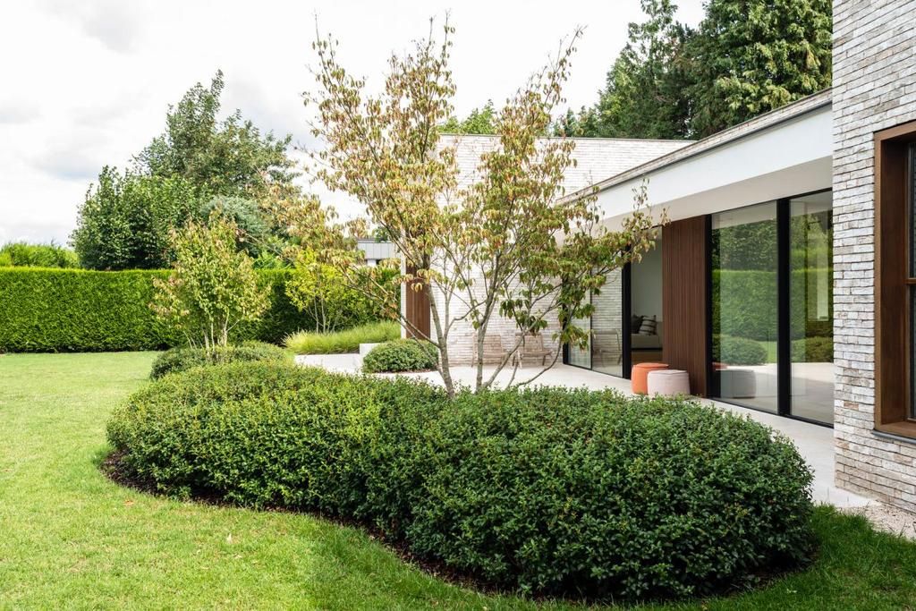 laurier wolk planttoday