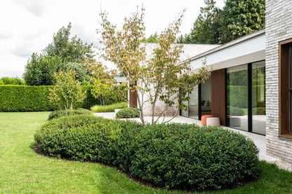 laurier wolk planttoday